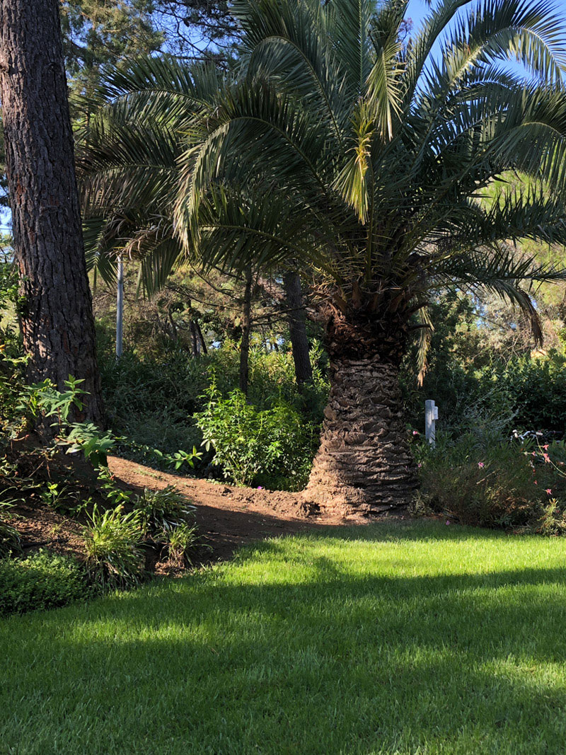 seaside-garden-gardening-maintenance-work