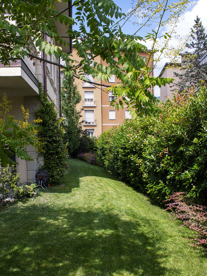 urban-garden-gardening-maintenance-works