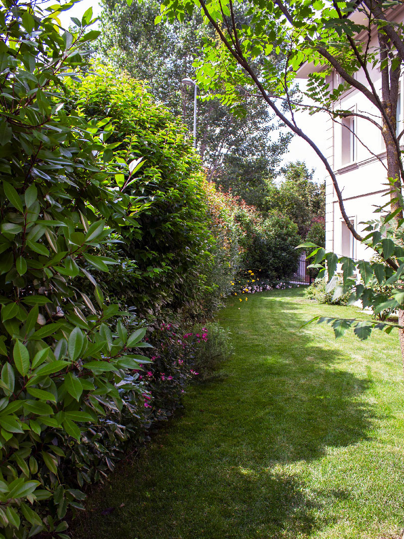 green-design-garden-construction-in-Tuscany