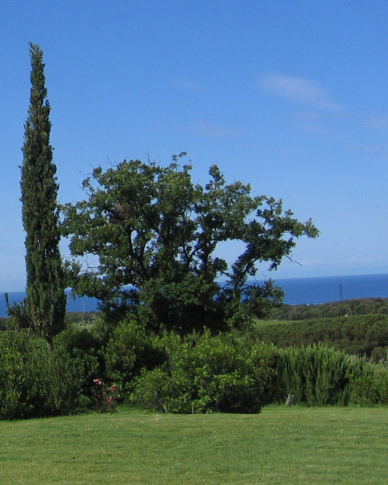giardino-sostenibile-benefici-ambiente