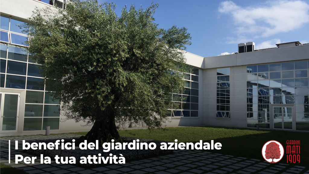 I benefici del giardino aziendale