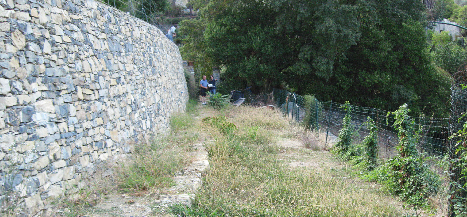 recupero-terreno-incolto-per-giardino