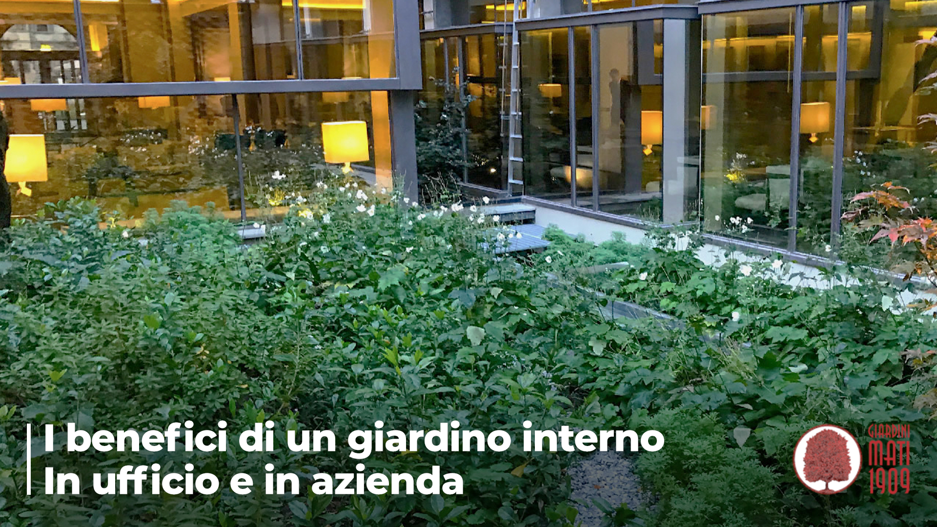 Benefici di un giardino interno in ufficio