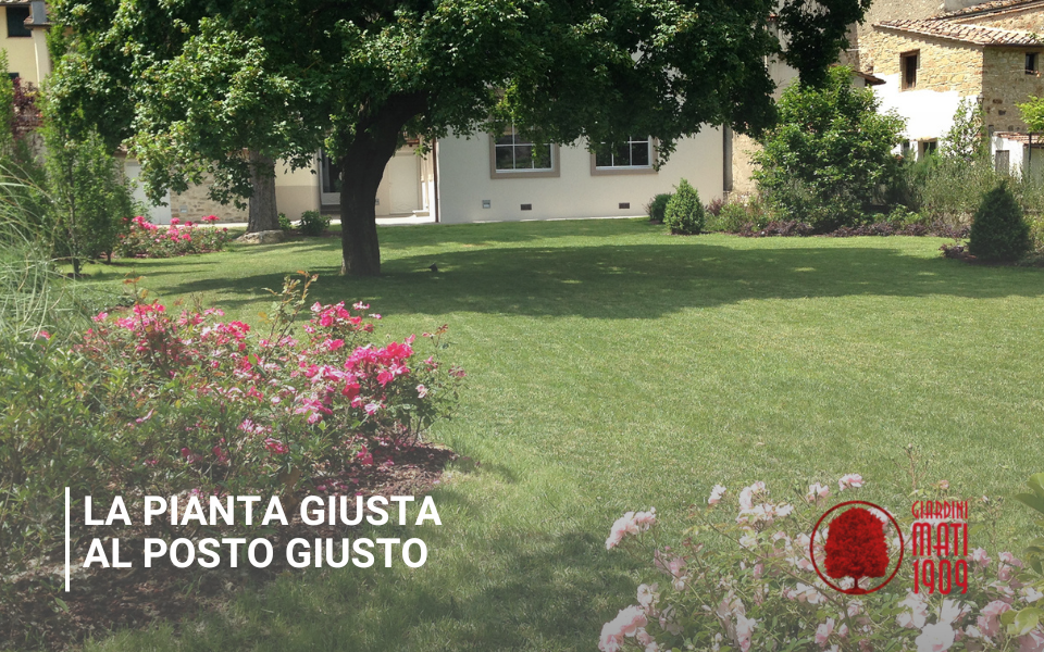 pianta-giusta-al-posto-giusto