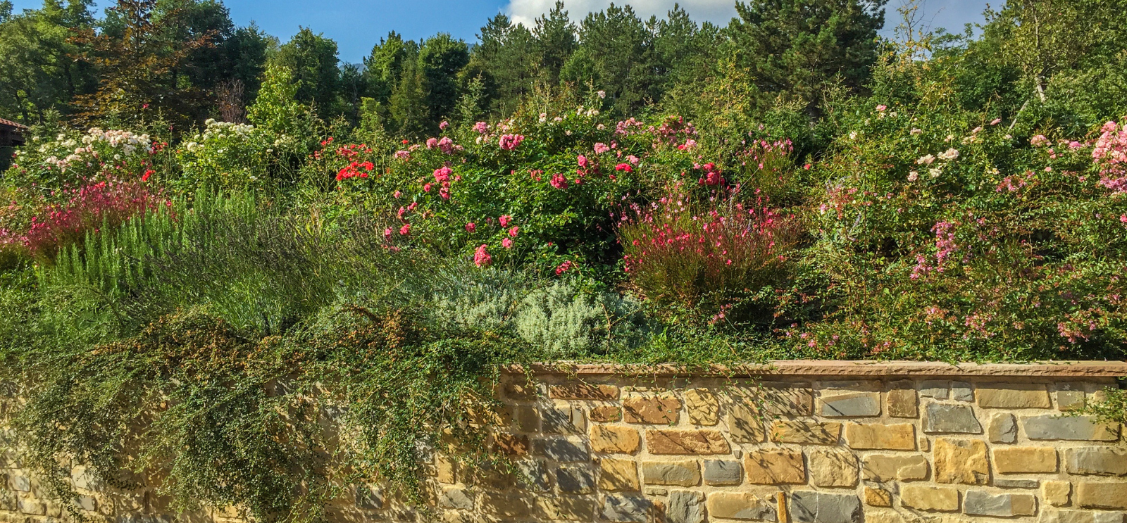 dopo-muretto-Giardino-privato-colline-emiliane